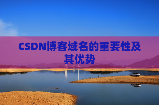 CSDN博客域名的重要性及其优势